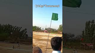 Cricket Tournament with leather ball || State Leval Cricket || #cricket #cricketshorts #shortvideo