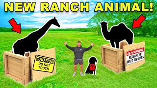 I Rescued a New ANIMAL for my Fishing & Hunting RANCH!