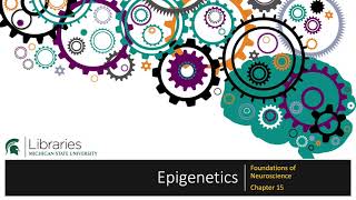 Chapter 15 - Epigenetics