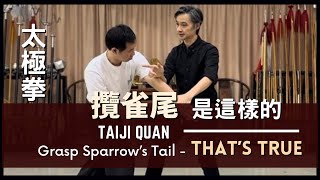 Taiji Quan Grasp Sparrow’s Tail - That’s True 太極拳 攬雀尾 是這樣的