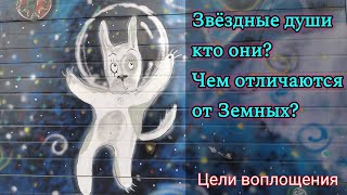 Звёздные души, кто они? В чём отличие от Земных душ? Воплощение душ на Земле. Причины.