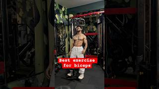 Best workout for biceps