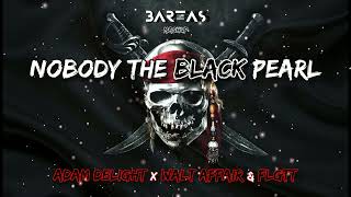 Adam Delight x Walt Affair & FLGTT - Nobody The Black Pearl (BARTAS mashup)