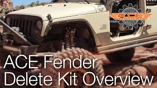 ACE Fender Delete Kit Overview