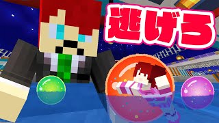 巨人に潰されちゃう逃走中！？小人かくれんぼ【マインクラフト】【ぷちひな×いんく×たま】