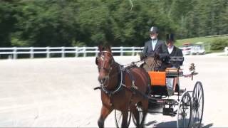 Harley Waller Dressage Orleton Farm 2013