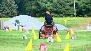 Tara Crowley Cones Glen Willow 2013