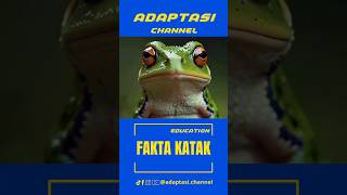 Fakta Menarik Tentang Katak! #faktaunik #fakta #information #education #frog #kodok #faktamenarik