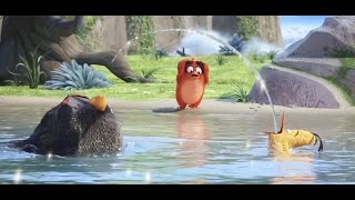 Angry Birds - Der Film || Trailer zum Film, HD, german (Deutsch 2016)