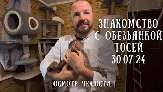 30.07. ОСМОТР обезьянки ТОСИ в парке львов "Тайган"