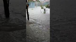 Banjir rendam rumah #shorts