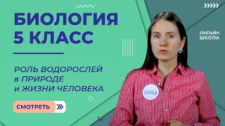 Роль водорослей в природе и жизни человека. Видеоурок 22. Биология 5 класс