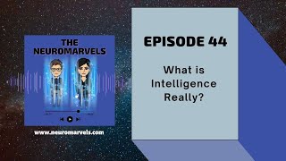 #44. What is Intelligence Really? (FIXED VERSION)