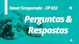 Perguntas e Respostas: Nova Temporada - Ep 031 | Comportamento Canino