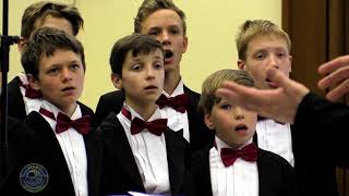 Журавли - Cranes - Moscow Boys' Choir DEBUT