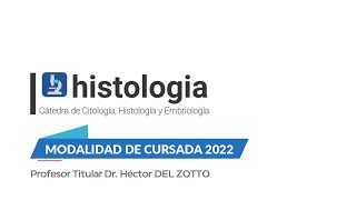 MODALIDAD CURSADA 2022