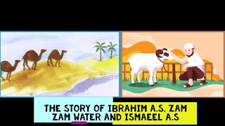 Story of Ibrahim A S, Story of Zamzam | Hajj Story | The Story Ismaeel A.S| Curious Ladybirds