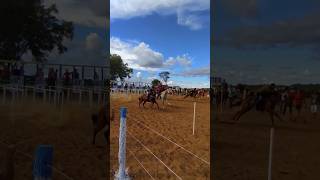 1a vez que assisto uma corrida de cavalos 🤠🛣️😍🙌 amei #cavalos #boiadeira #viagem #cultura