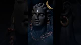 Mahadev | Lord Shiva 🙏 | powerful Shiv | Shiv Shankar | shiv status | shiv | shivratri #shivtandav