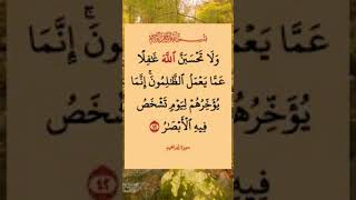 ولاتحسبن الله غافلا عن هؤلاء الظلمة. #explore #القران #يارب.