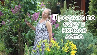 Дача. Прогулка по саду в начале лета 🌞🌸🌲