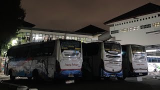 SUDAH MALAM TAPI MASIH RAMAI BUS AKAP JATIM DI TERMINAL GIWANGAN JOGJA