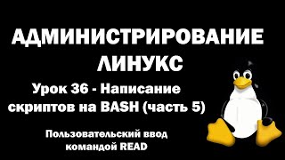 Администрирование Линукс (Linux) - Урок 36 - Написание скриптов на BASH (часть 5) - Команда Read