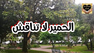 قصة الذئب والحمار  | الحمير لا تناقش