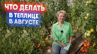 Что делать в теплице в августе