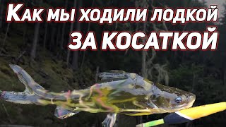 КАК МЫ ХОДИЛИ ЛОДКОЙ ЗА КОСАТКОЙ. 4К