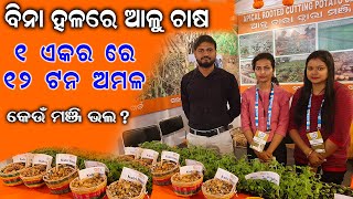 ବିନା ହଳରେ ଆଳୁ ଚାଷ || How to cultivate potatoes without digging in the ground.