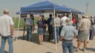 SDI in Alfalfa | UC Davis Alfalfa Field Day