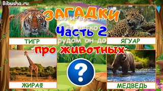 ЗАГАДКИ ПРО ЖИВОТНЫХ - Часть 2 | Загадки для детей