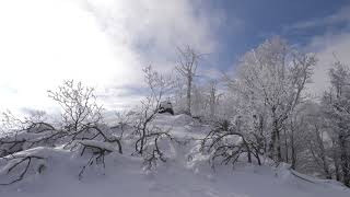 Wind Sounds 2 Hours / Cold Winter Wind Blowing Through Frozen Forest