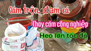 Cám trộn đạm cá thủy Phân|Thay cám công nghiệp ☎️0372225255