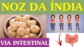 Noz da Índia! O que e como ela faz?