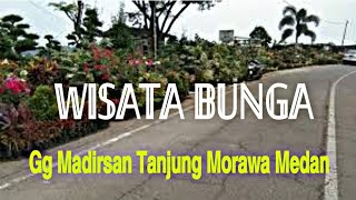 Wisata Bunga diMadirsan Desa Bangun Sari Tanjung Morawa Medan