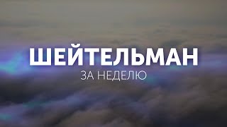 Наконец то! Шейтельман за неделю 16 августа!!! Всем смотреть!!!