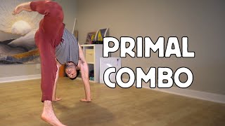 Level up Mobility in this Primal Flow - Kick Through to Scorpion