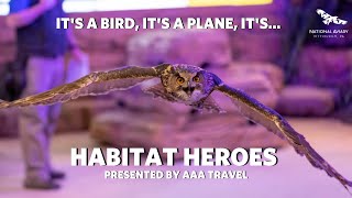 Immersive Bird Show: Habitat Heroes Presented by AAA Travel