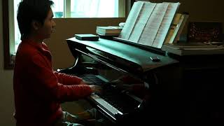 Wenyu Shen plays Chopin-Liszt "My Joys" (soft Version)