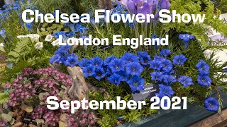 Chelsea Flower Show London - September 2021