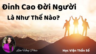 Ai Cũng Có Giai Đoạn Đỉnh Cao Để Nắm Bắt "Học Viện Thần Số - Liên Hồng Phúc"