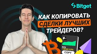 Копитрейдинг на Bitget - как стать трейдером