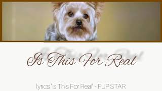 Is this for real - lyrics - PUP STAR