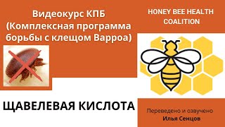 Как и когда применять щавелевую кислоту для борьбы с клещем Варроа? (КПБ)