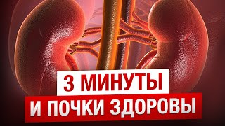 Самые полезные упражнения для ПОЧЕК / Комплекс упражнений для здоровья почек