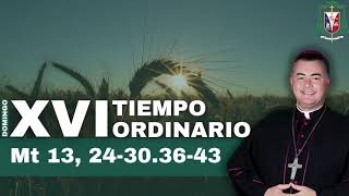 DOMINGO XVI DEL TIEMPO ORDINARIO Mt 10, 26-33