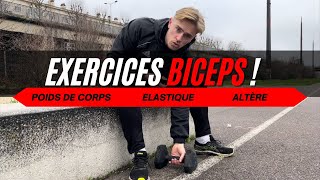 Exercice BICEPS : poids de corps, élastique, altère