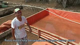 membuat kolam terpal untuk lele memanfaatkan terpal bekas #kolamterpal #kolamlele #lele #terpalbekas